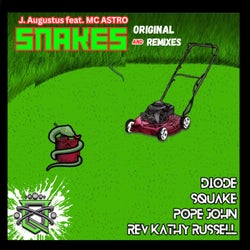 Snakes - with remixes (original and Remixes)