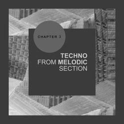 Techno From Melodic Section: Chapter 3