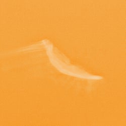 Neu