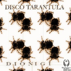 Disco Tarantula