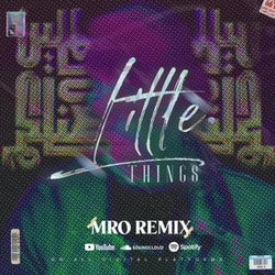 Little Things (MRO (ofc) REMIX)