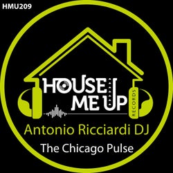 The Chicago Pulse