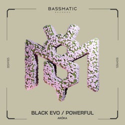 Black Evo / Powerful
