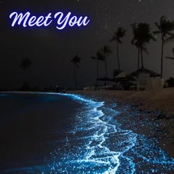 Meet You