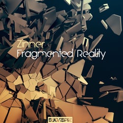 Fragmented Reality