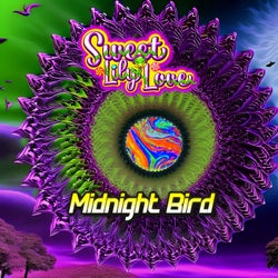 Midnight Bird