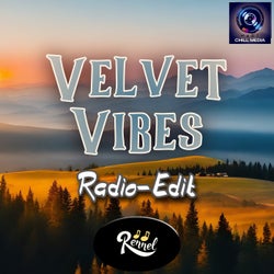 Velvet Vibes (Radio-Edit)