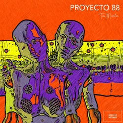 Proyecto 88