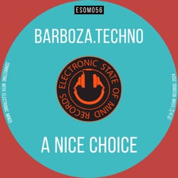 A Nice Choice