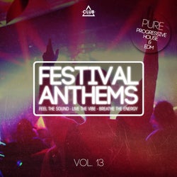 Festival Anthems Vol. 13