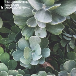 Saltburn - Audio Dope Remix