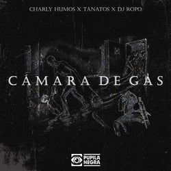Camara De Gas (feat. Dj Ropo)