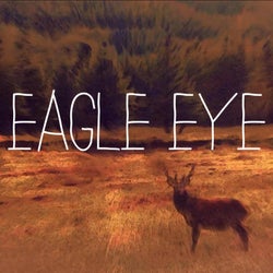 Eagle Eye