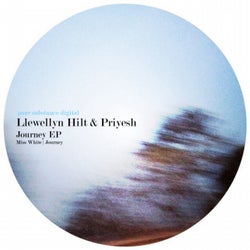 Llewellyn Hilt & Priyesh - Journey EP