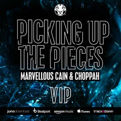 Picking Up The-Peices (VIP)