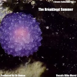 The Breakbeat Summer