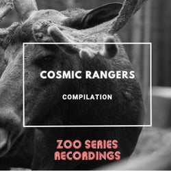 Cosmic Rangers