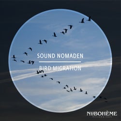 Bird Migration - Radio-Edit