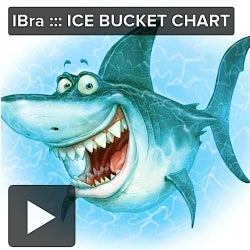 IBra ::: ICE BUCKET CHART