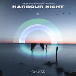 Harbour Night