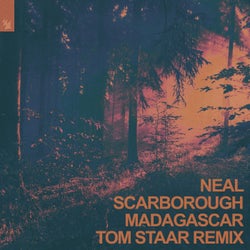 Madagascar - Tom Staar Remix