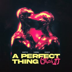 A Perfect Thing (Push It) (Extended Mix)