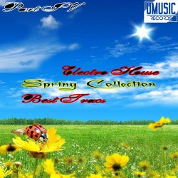 Spring Collection. Pt. IV Electro House