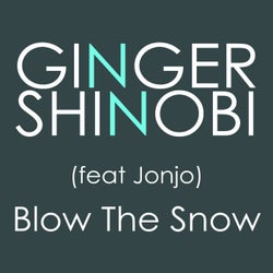 Blow The Snow