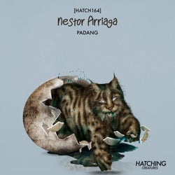 Padang