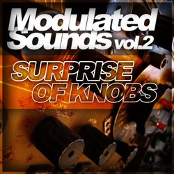 Modulated Sounds, Vol. 2 - Surprise Of Knobs