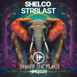 Shake The Place (Original Mix)