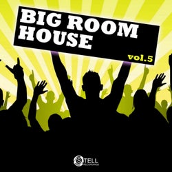 Big Room House, Vol. 5