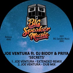Secrets (feat. DJ Biddy & Priya)