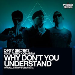 Why Don't You Understand (feat. Amrick Channa)