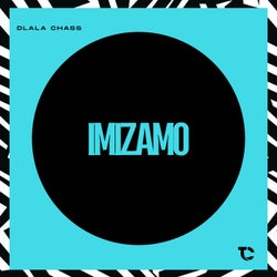 Imizamo