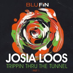 Trippin Thru the Tunnel, Pt. 1