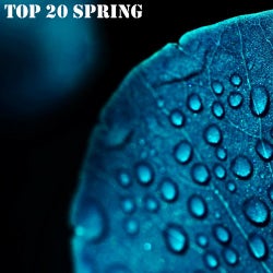 TOP 20 Spring