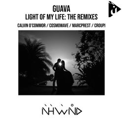 Light of My Life (The Remixes)
