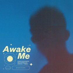 Awake Me (Extended Mix)