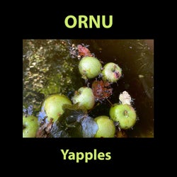 Yapples