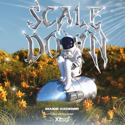 Scale Down