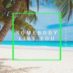 Somebody Like You