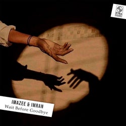 Wait Before Goodbye