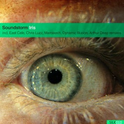 Hoesafbeelding voor Iris (Eyes Of A Girl)