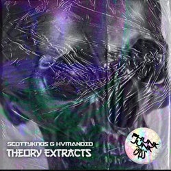 Theory Extracts