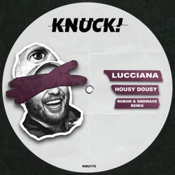 Housy Dousy (Robiin & Sndwave Remix)