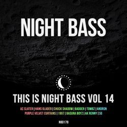 This Is Night Bass: Vol. 14