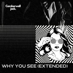 Why You See (Extended)