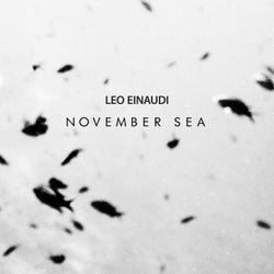 November Sea