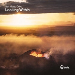 Looking Within